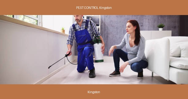 PEST CONTROL Kingston